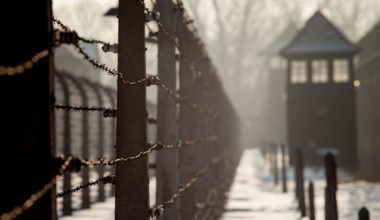 Auschwitz in winter