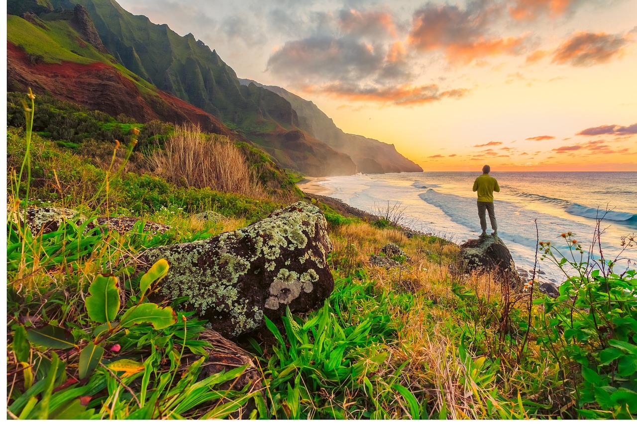 City Dwellers, Embrace the Healing Power of Nature