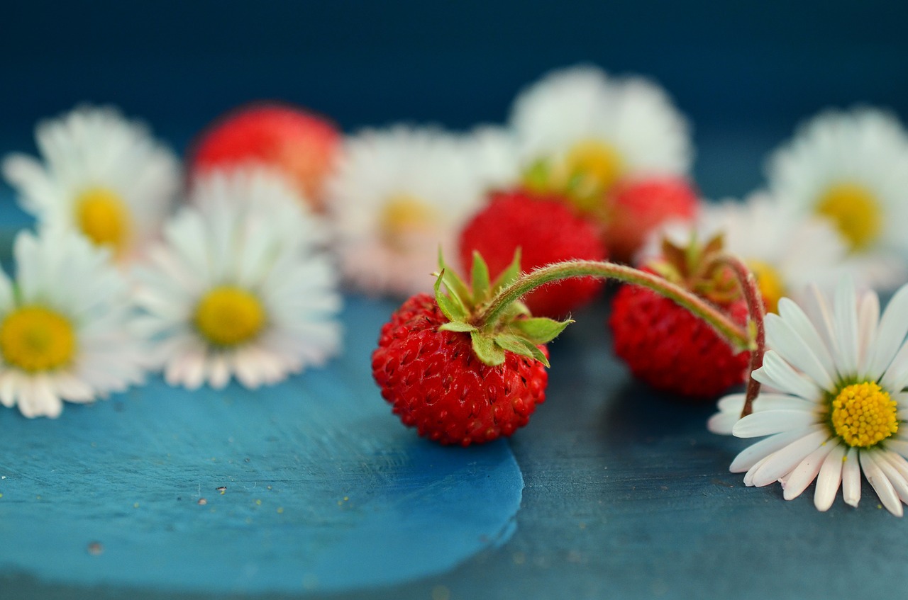 How to Eat Your Way to Mental Health