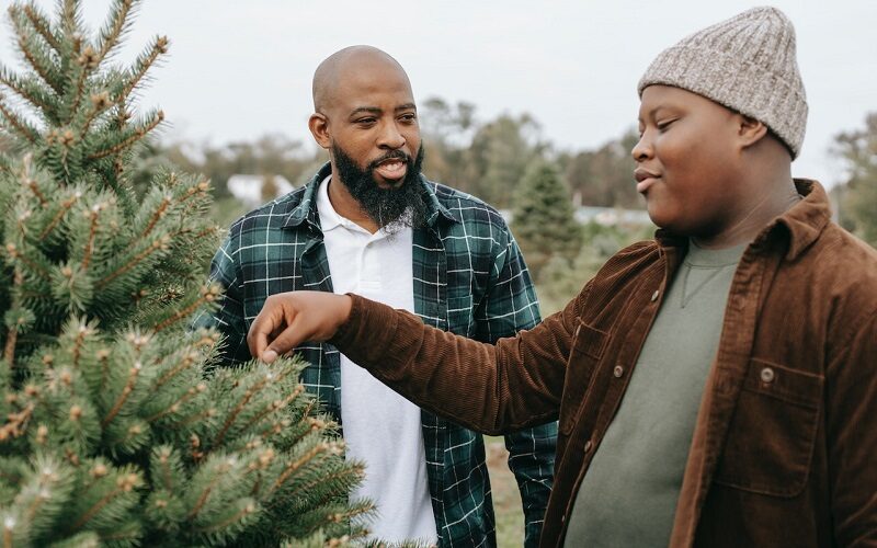 Smiling black dad talking to son touching needles of spruce