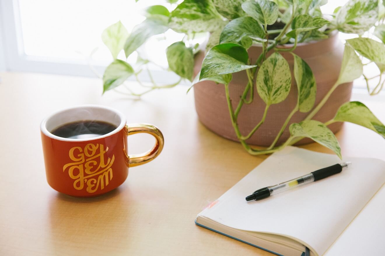 A mug that says "Go Get 'Em" next to a plant and notebook