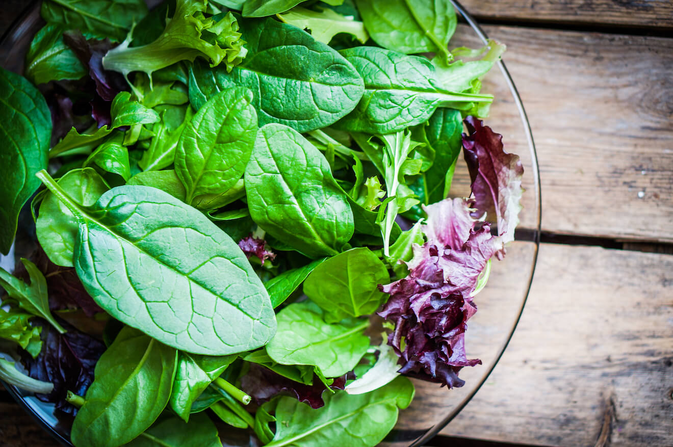 Plain bowl of lettuce