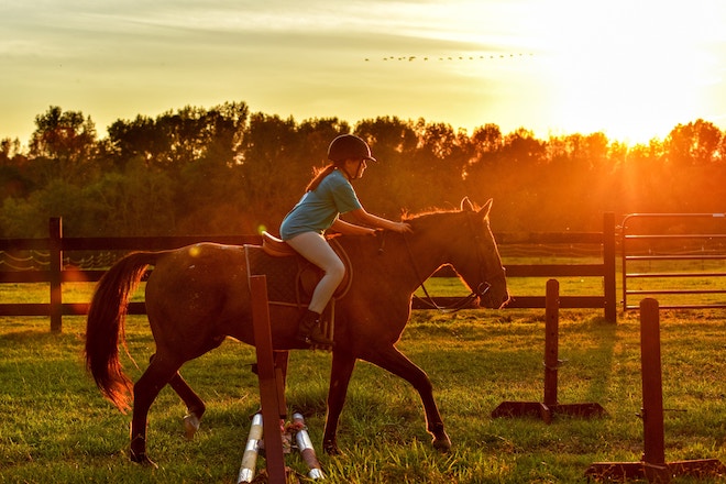 A horsegirl rides a horse into the sunset. And, like, way in the back, there are some geese just flyin'.