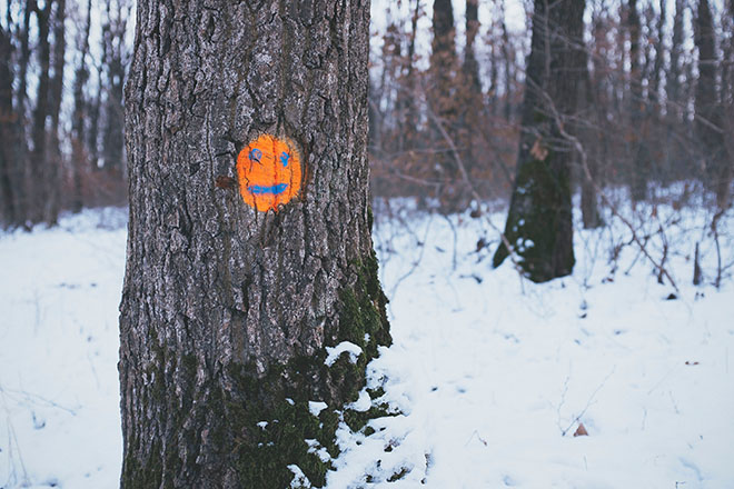 Smiling face painted onto tree