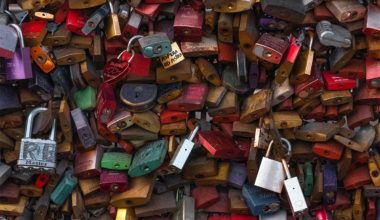 many locks attached to fence