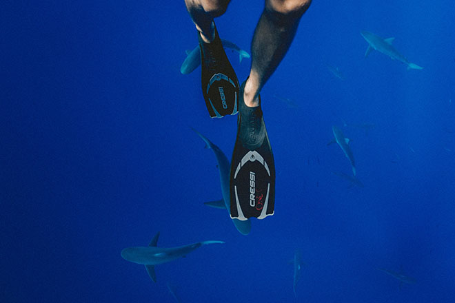 legs with flippers under water